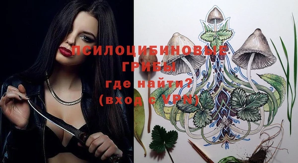 трава Сатка