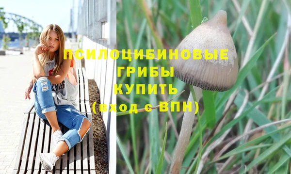 амф Алексин