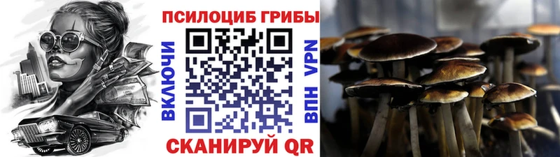 цены   Данилов  Галлюциногенные грибы MAGIC MUSHROOMS 